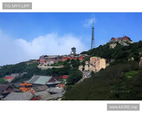 山东泰山豪门地位:当前竞争格局与稳定性面临考验 山东泰山豪门地位:当前竞争格局与稳定性面临考验